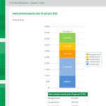 DDC Consulting volgt training Life Cycle Vision